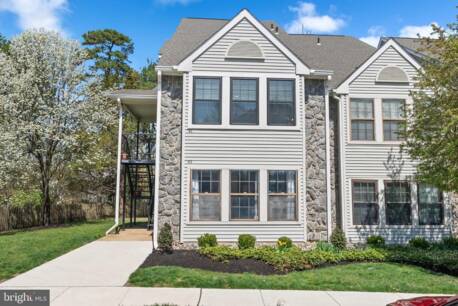 41 Chelmsford Ct