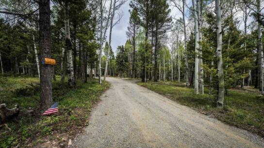 513 Crest Drive