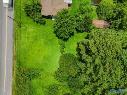 0.35 Acres Alabama Highway 205 S