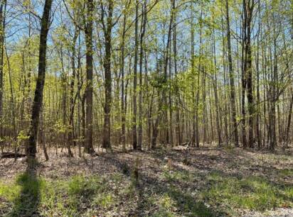 0 Ashwell Ridge Dr