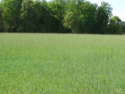 0 Virginia Byway