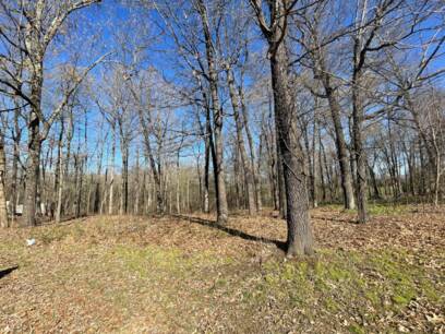 15 County Road 3335