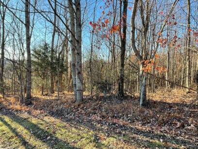 0 Strawberry Hill Ct