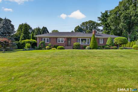 241 Pine Tree Dr