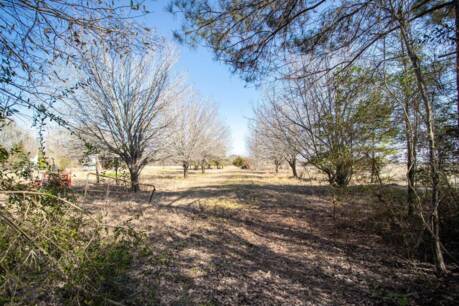 30808 Old Sour Lake Rd