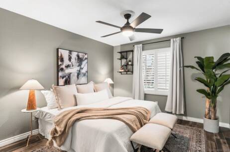 14161 Halper