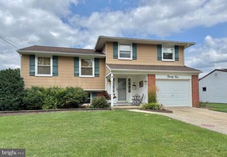 24 Homestead Rd