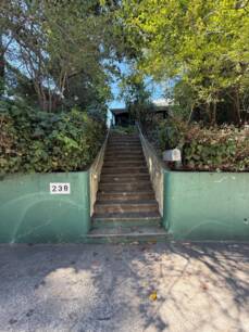 238 Throckmorton Ave